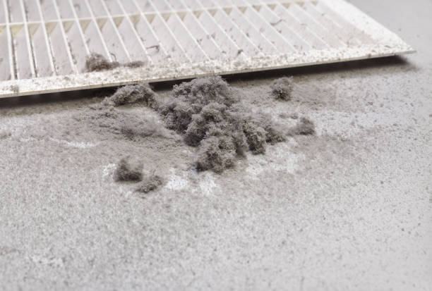 Best HVAC Maintenance and Cleaning  in Leland, NC